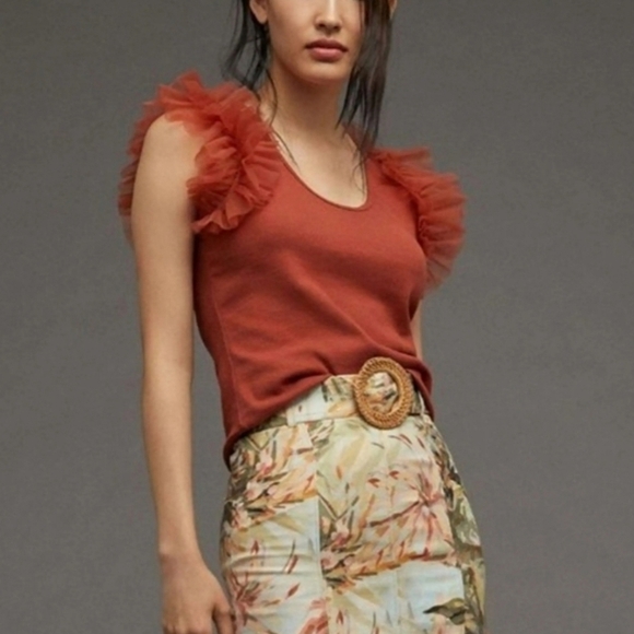 Anthropologie New Dolan Rust Tulle Sleeve Ribbed Knit Top SZ XL Balletcore Fairy - Picture 3 of 10